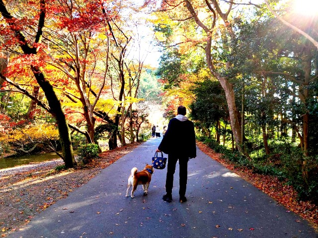 f:id:chikuwanwan1106:20220105223410j:image