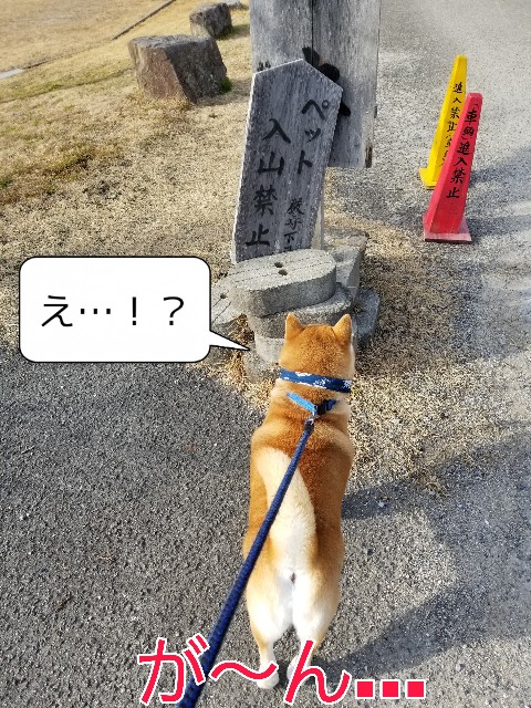 f:id:chikuwanwan1106:20220226104530j:image