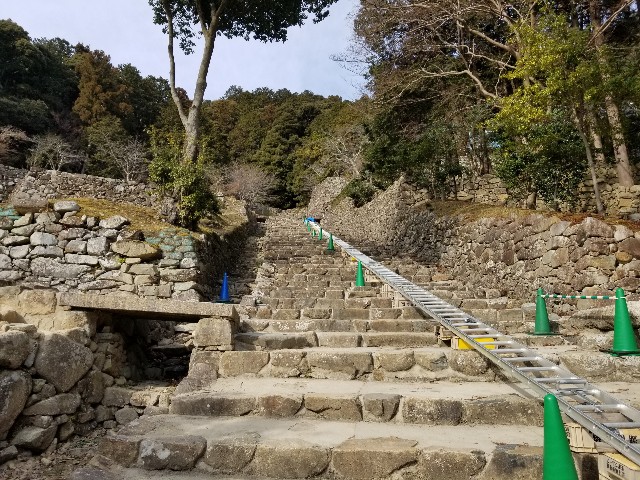 f:id:chikuwanwan1106:20220226104847j:image