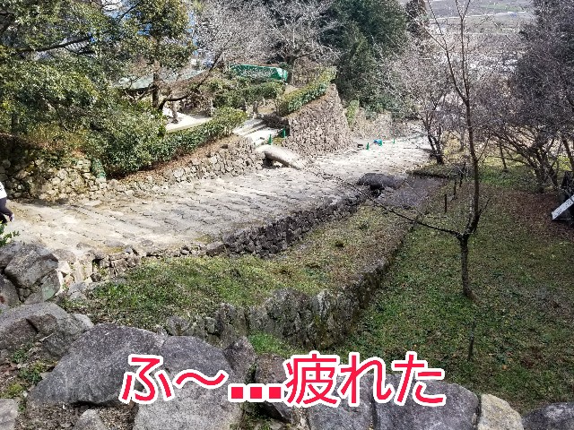 f:id:chikuwanwan1106:20220226105254j:image