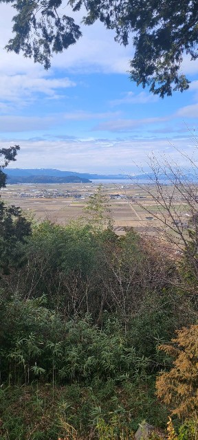 f:id:chikuwanwan1106:20220226110217j:image