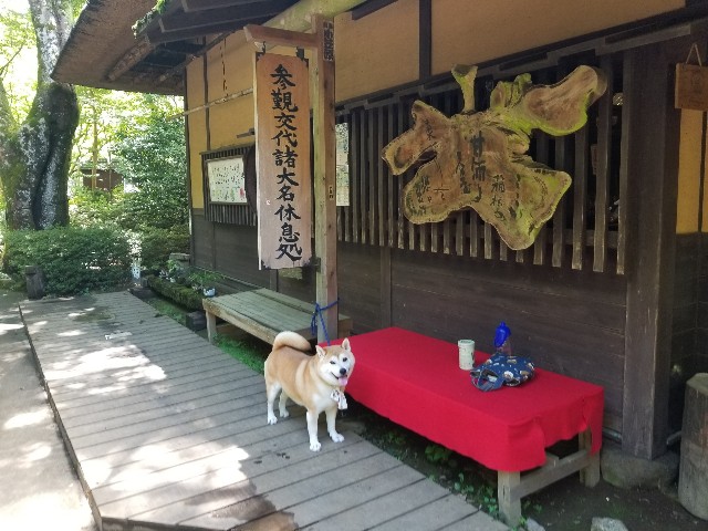 f:id:chikuwanwan1106:20220729203622j:image