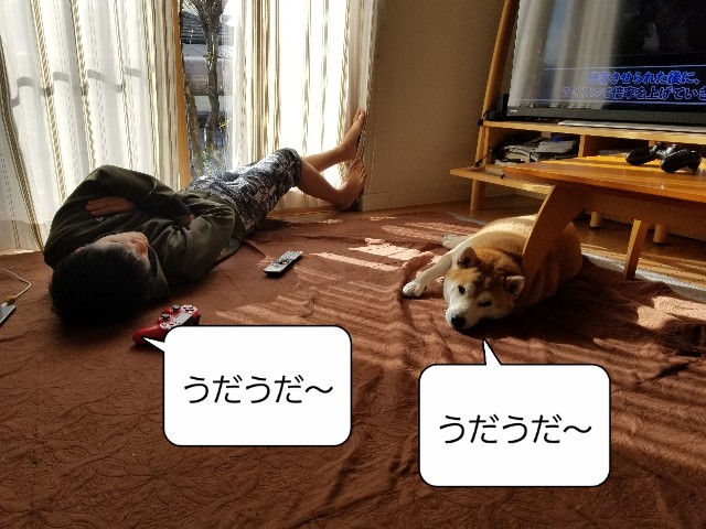 f:id:chikuwanwan1106:20221117074132j:image