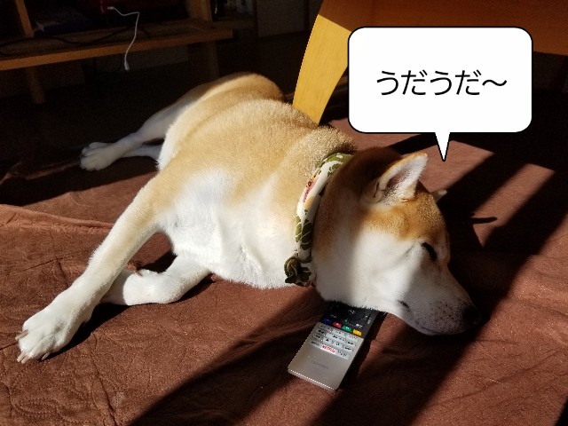 f:id:chikuwanwan1106:20221117074246j:image