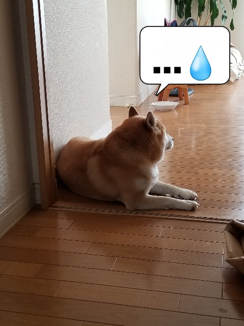 f:id:chikuwanwan1106:20221117074725j:image