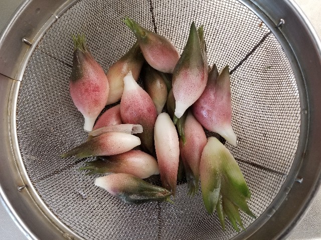 f:id:chikuwanwan1106:20221118164930j:image