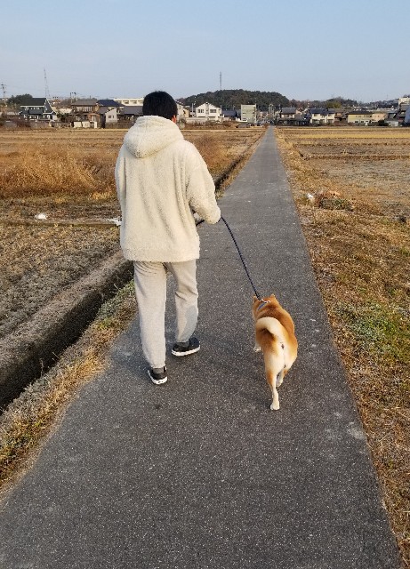 f:id:chikuwanwan1106:20230116074804j:image