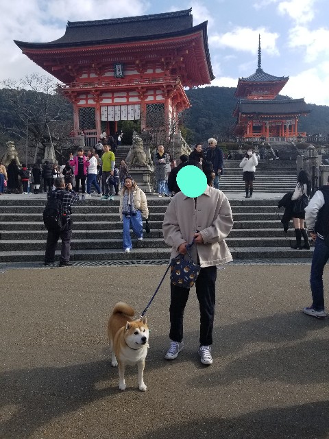 f:id:chikuwanwan1106:20230117054838j:image