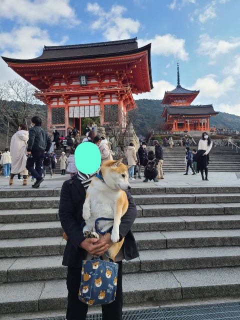 f:id:chikuwanwan1106:20230117054937j:image