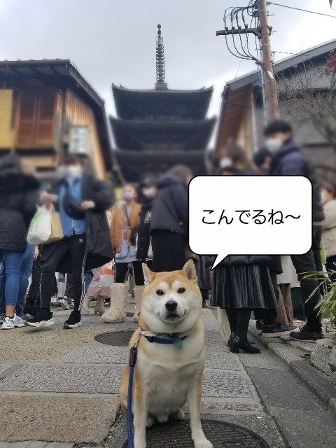 f:id:chikuwanwan1106:20230117122019j:image