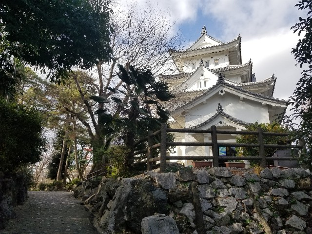 f:id:chikuwanwan1106:20230205092104j:image
