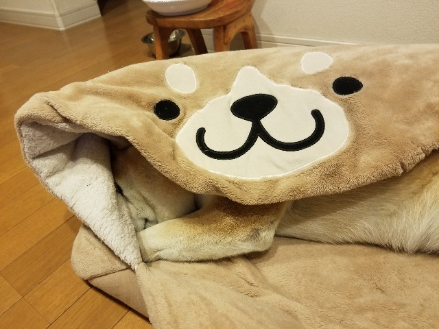 f:id:chikuwanwan1106:20230514084143j:image