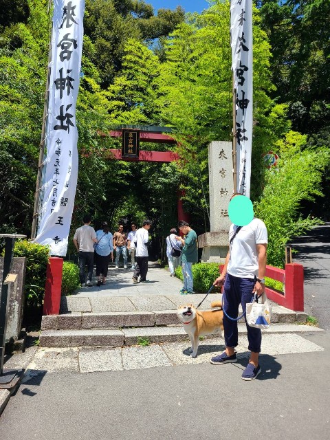 f:id:chikuwanwan1106:20230801100620j:image