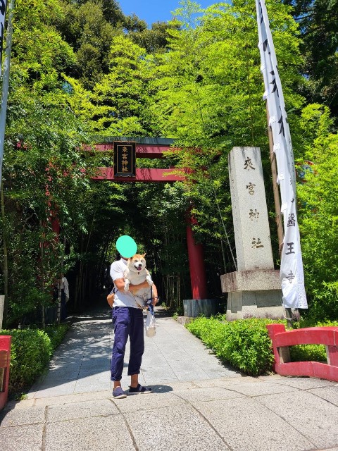 f:id:chikuwanwan1106:20230801100632j:image