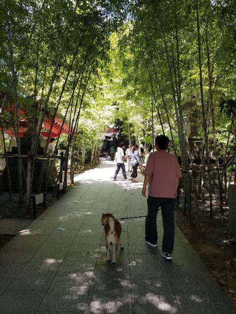 f:id:chikuwanwan1106:20230801100755j:image