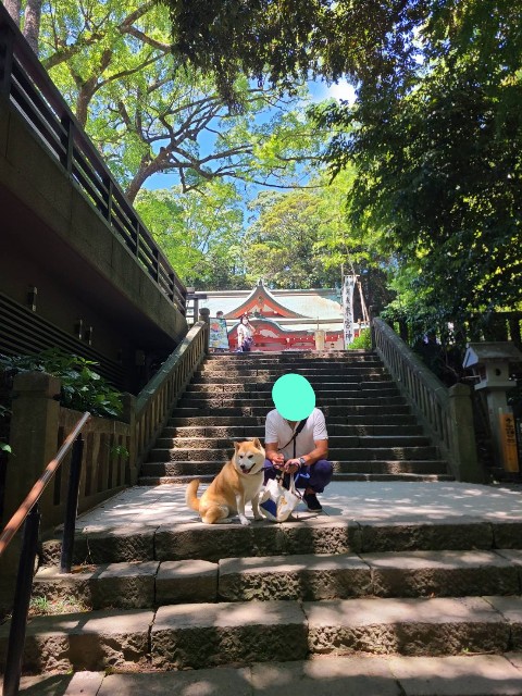 f:id:chikuwanwan1106:20230801122847j:image