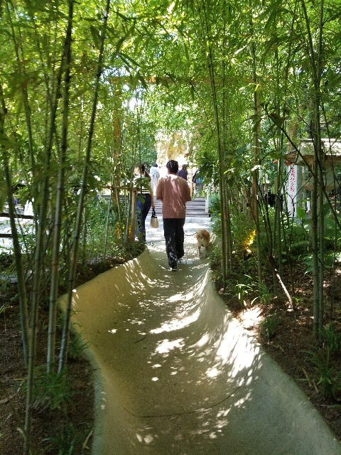 f:id:chikuwanwan1106:20230801150822j:image