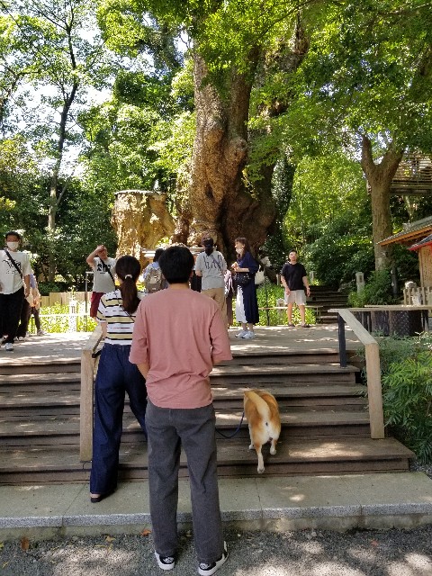 f:id:chikuwanwan1106:20230801234346j:image