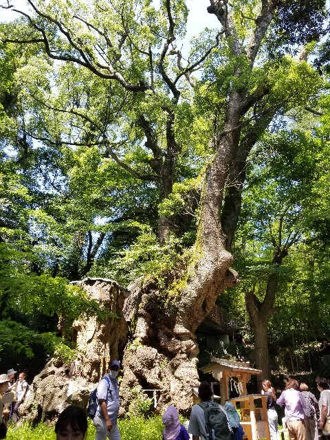 f:id:chikuwanwan1106:20230801235109j:image