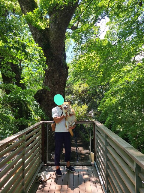 f:id:chikuwanwan1106:20230801235330j:image