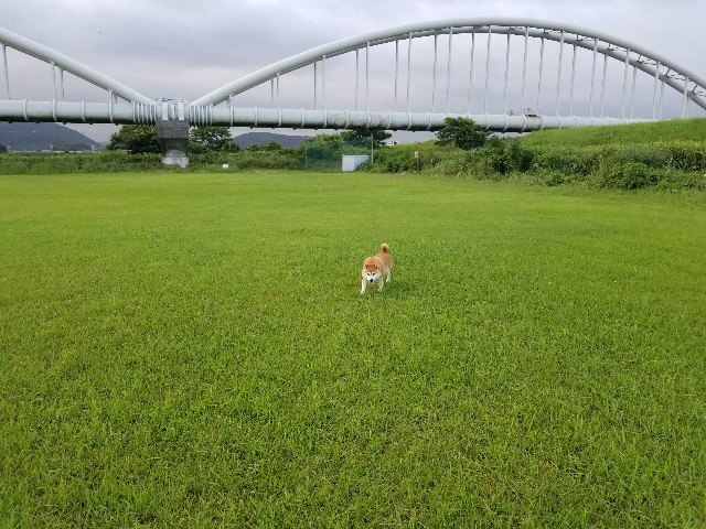 f:id:chikuwanwan1106:20230801235800j:image