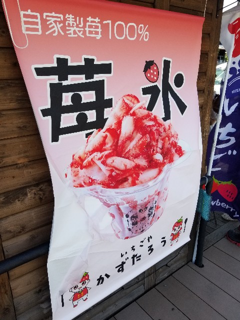 f:id:chikuwanwan1106:20230802122459j:image