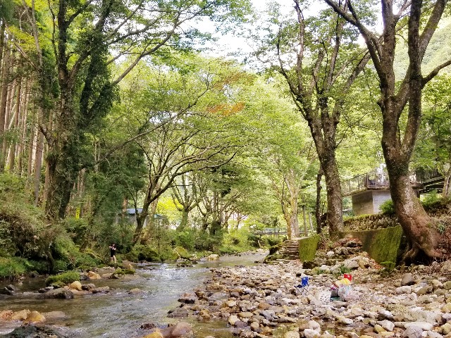 f:id:chikuwanwan1106:20230821100752j:image