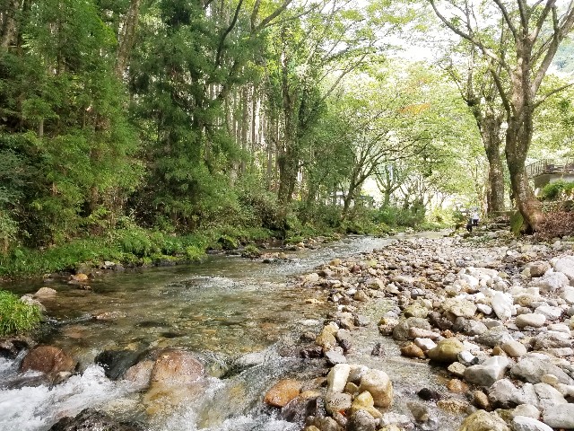 f:id:chikuwanwan1106:20230821100822j:image