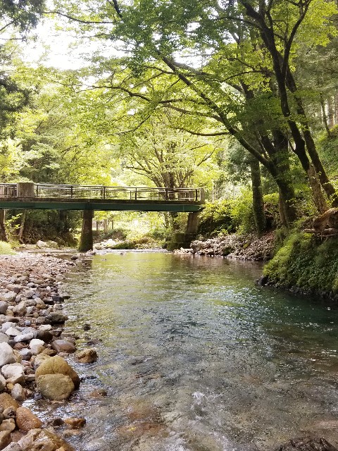 f:id:chikuwanwan1106:20230821100838j:image