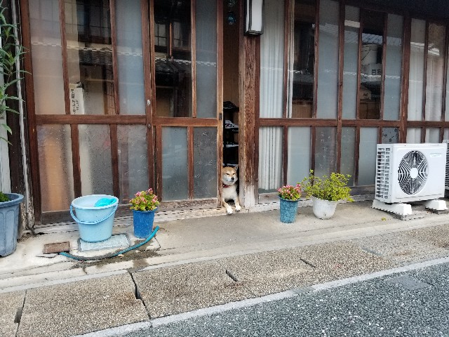 f:id:chikuwanwan1106:20230822051729j:image