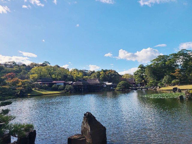 f:id:chikuwanwan1106:20231116074429j:image