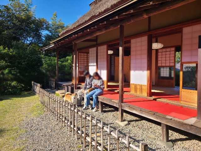 f:id:chikuwanwan1106:20231116075128j:image