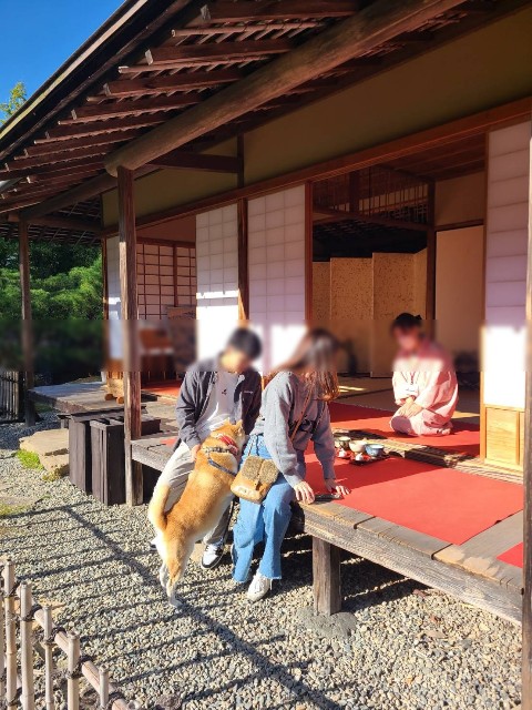 f:id:chikuwanwan1106:20231116075201j:image