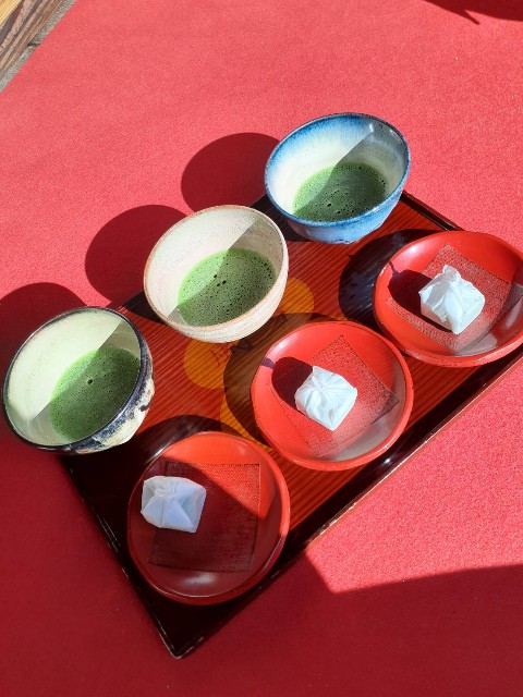 f:id:chikuwanwan1106:20231116075413j:image