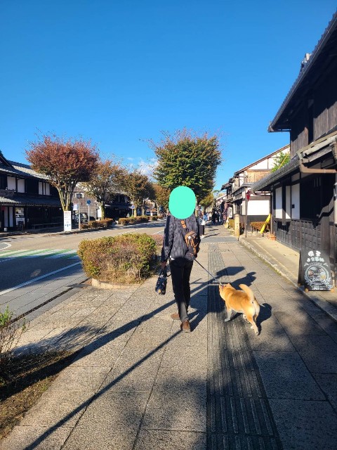 f:id:chikuwanwan1106:20231116122511j:image