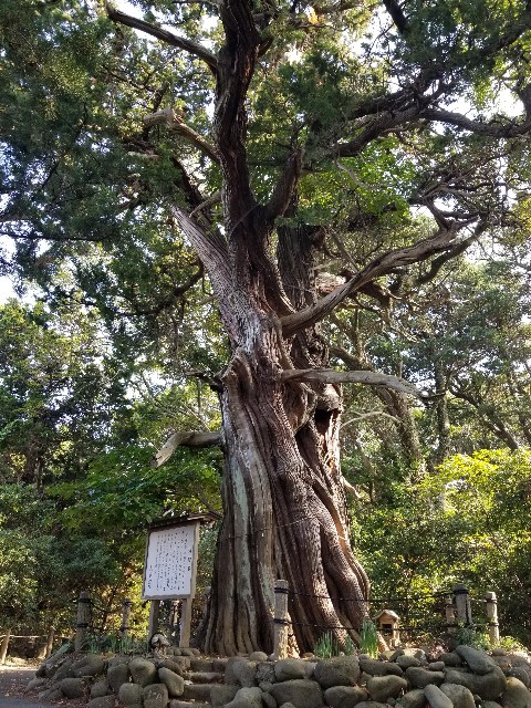 f:id:chikuwanwan1106:20231126071605j:image