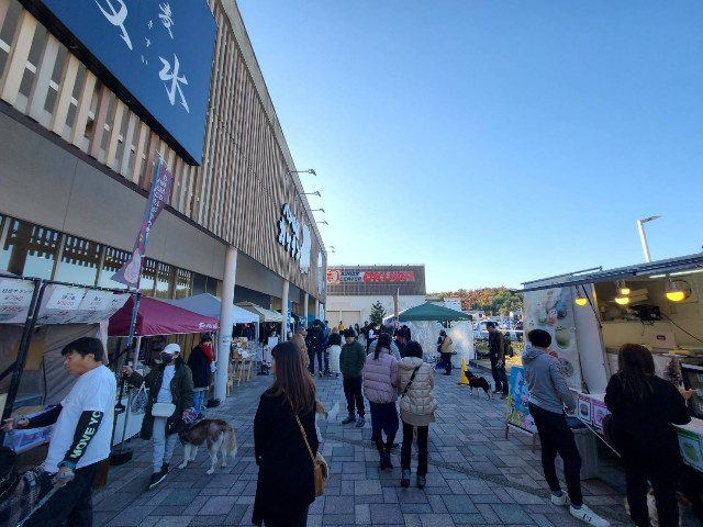 f:id:chikuwanwan1106:20231220075358j:image