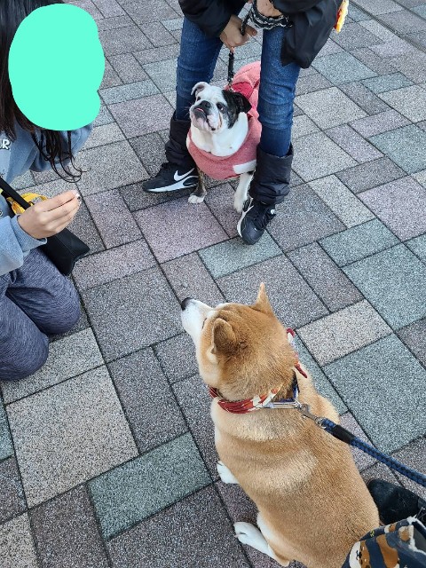 f:id:chikuwanwan1106:20231220122637j:image