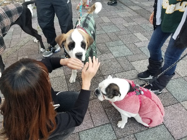 f:id:chikuwanwan1106:20231220150330j:image