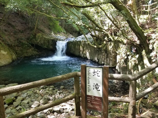 f:id:chikuwanwan1106:20240528101006j:image