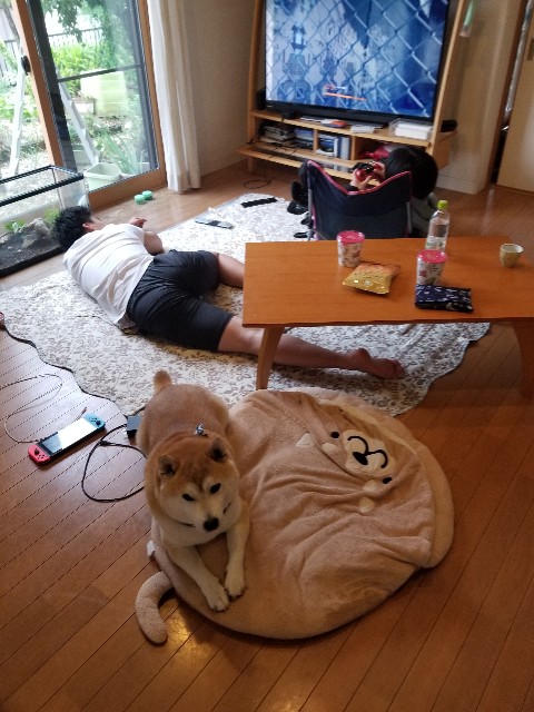 f:id:chikuwanwan1106:20240705182806j:image