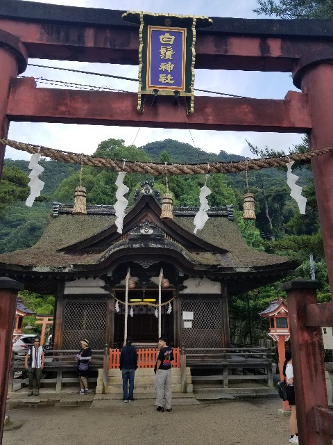 f:id:chikuwanwan1106:20240713232141j:image