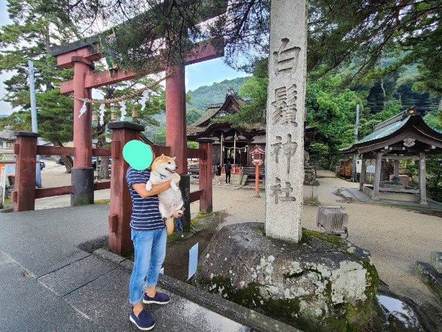 f:id:chikuwanwan1106:20240713232233j:image