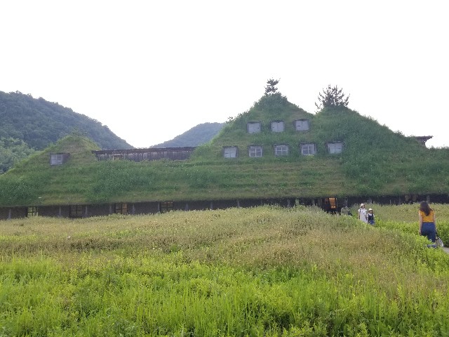 f:id:chikuwanwan1106:20240716100309j:image