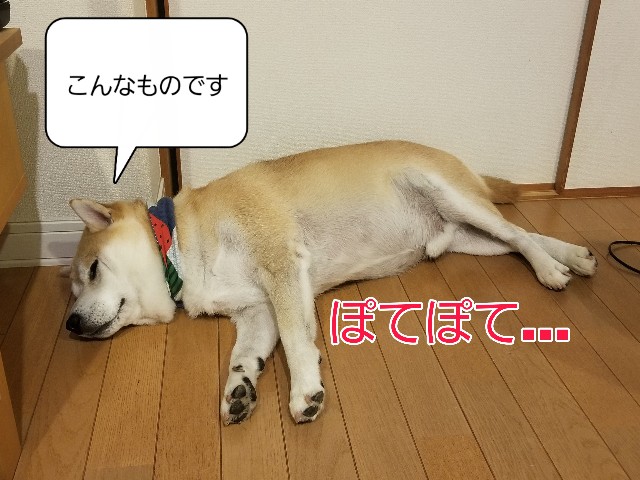f:id:chikuwanwan1106:20240727002021j:image