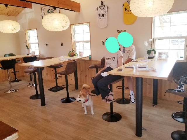 f:id:chikuwanwan1106:20240731122235j:image
