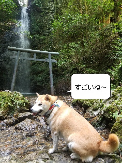 f:id:chikuwanwan1106:20240731215821j:image