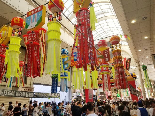 f:id:chikuwanwan1106:20240814074837j:image