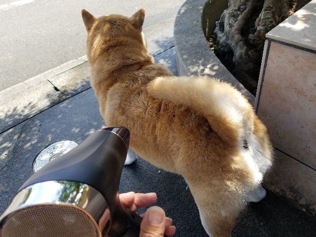 f:id:chikuwanwan1106:20240910075428j:image