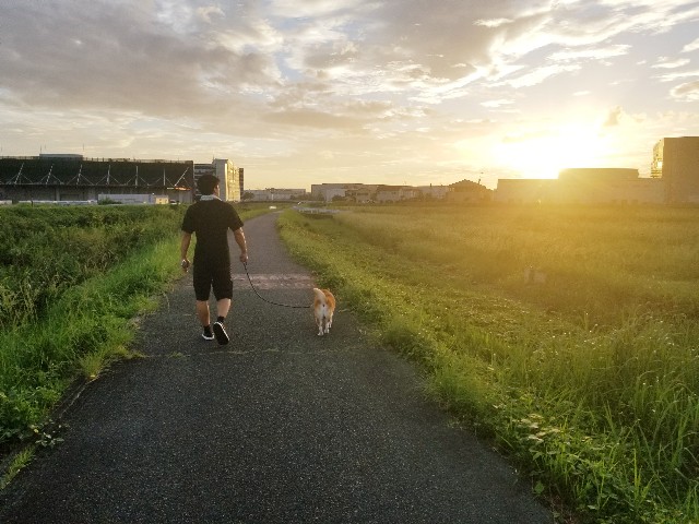 f:id:chikuwanwan1106:20240929154933j:image